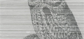 Joshua Caleb Weibley: Cruft at TRANSFER 